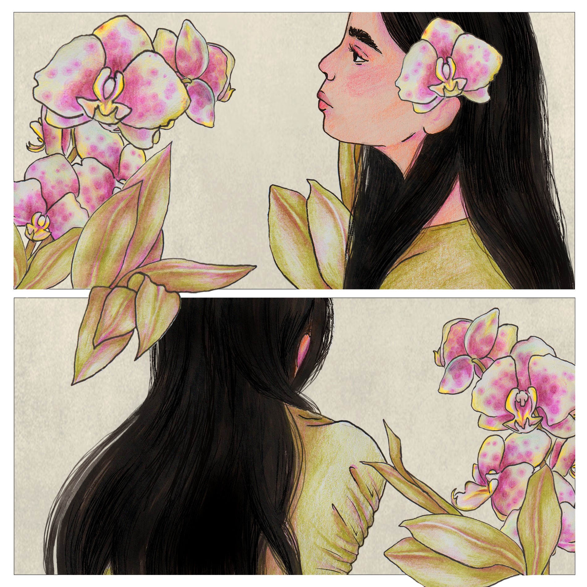 Illustration 4