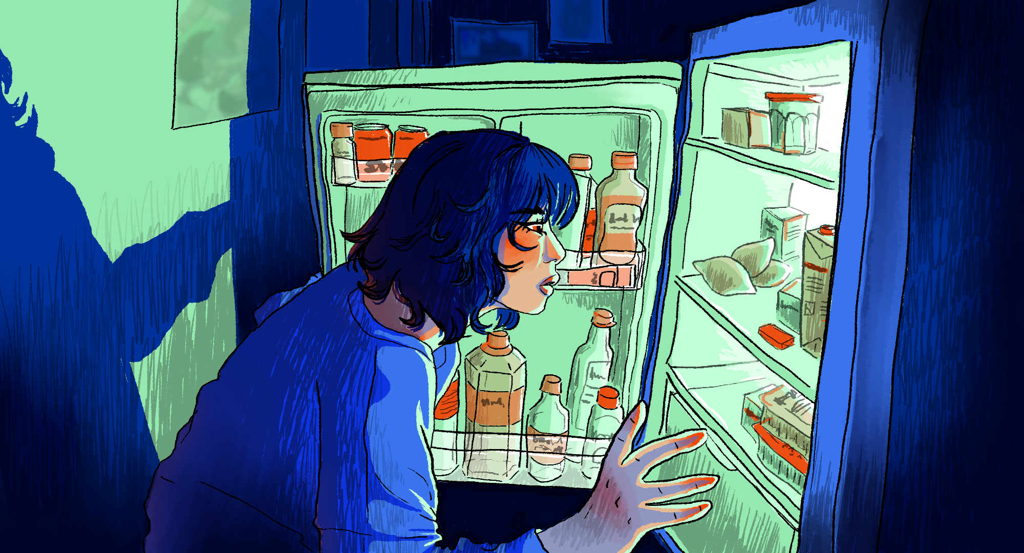 Illustration 5