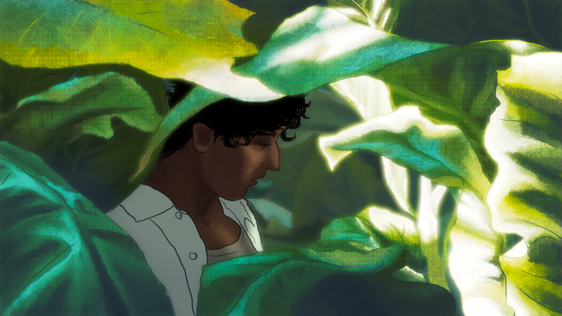 Illustration 7