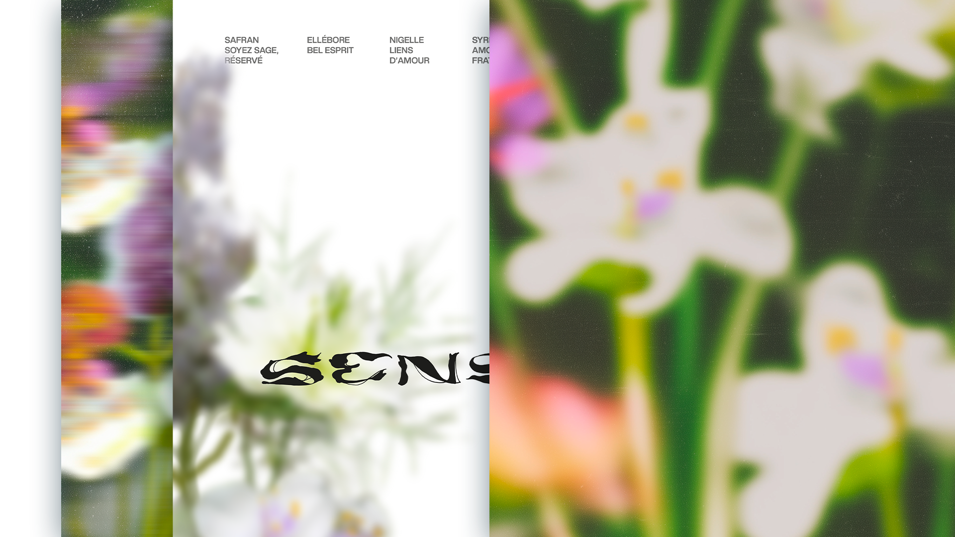 Sense — 1