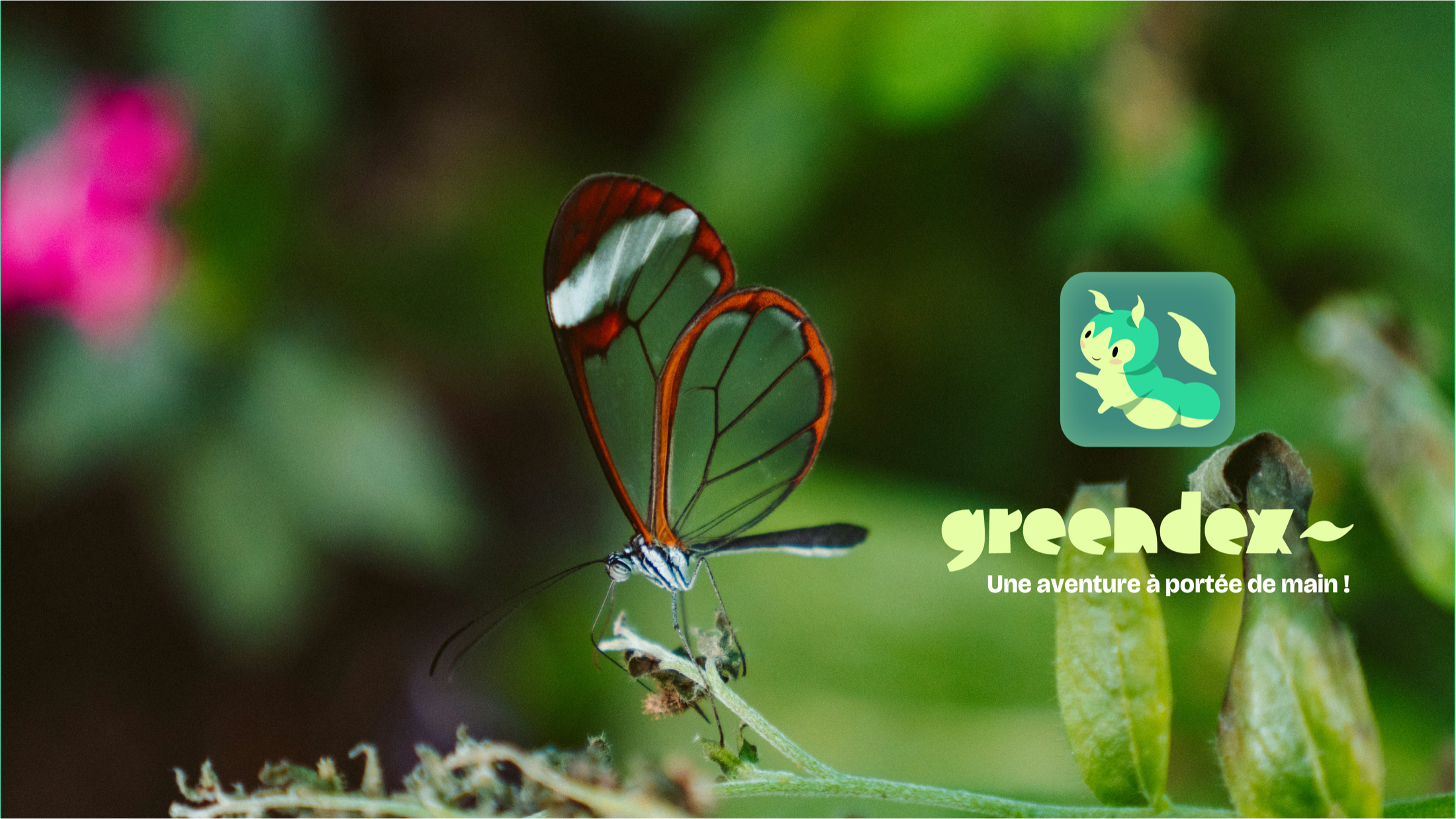 Greendex — 9