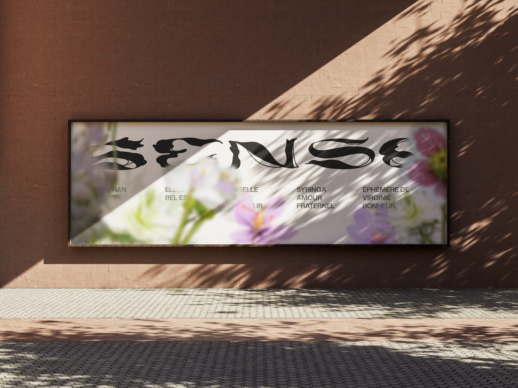 Sense — 2